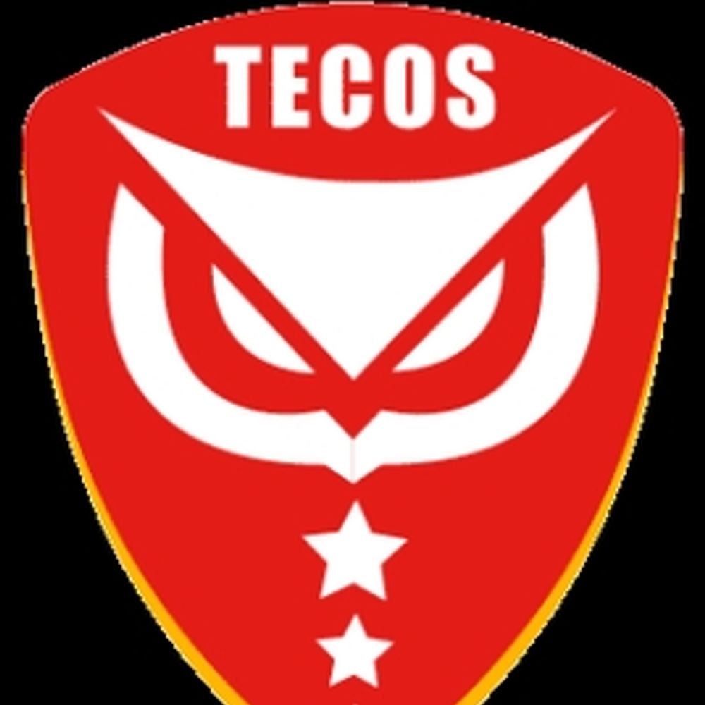 Tecos's avatar