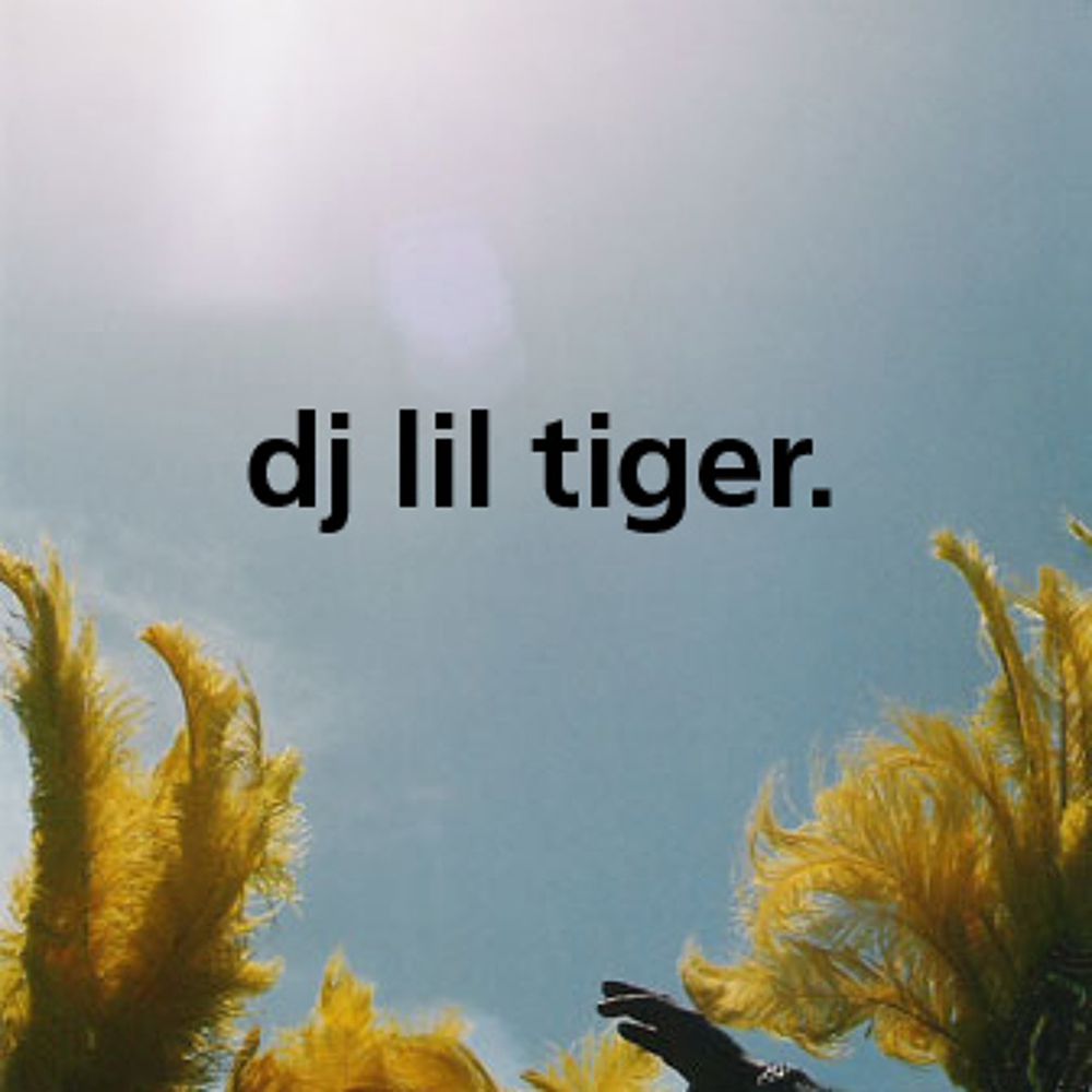 dj lil tiger.