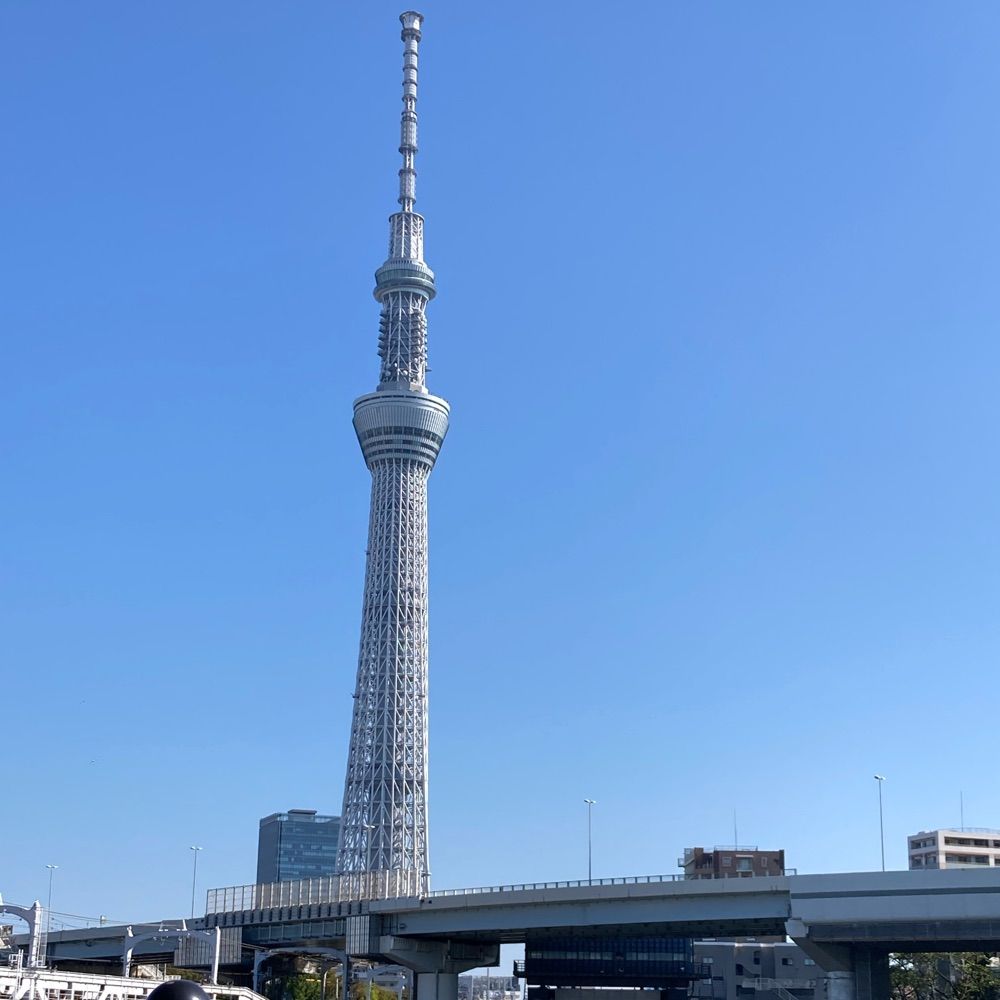 Fujitsubo779