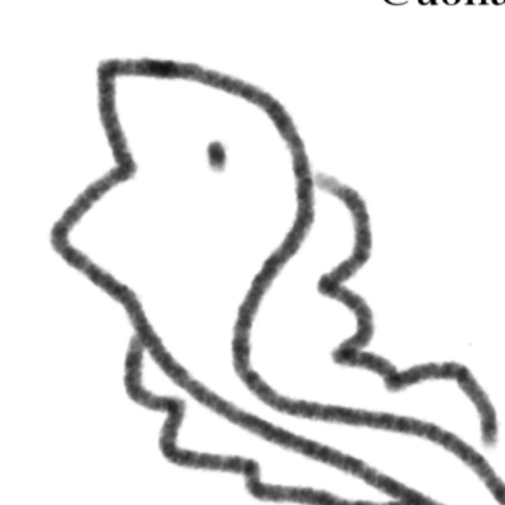 海野さかなん