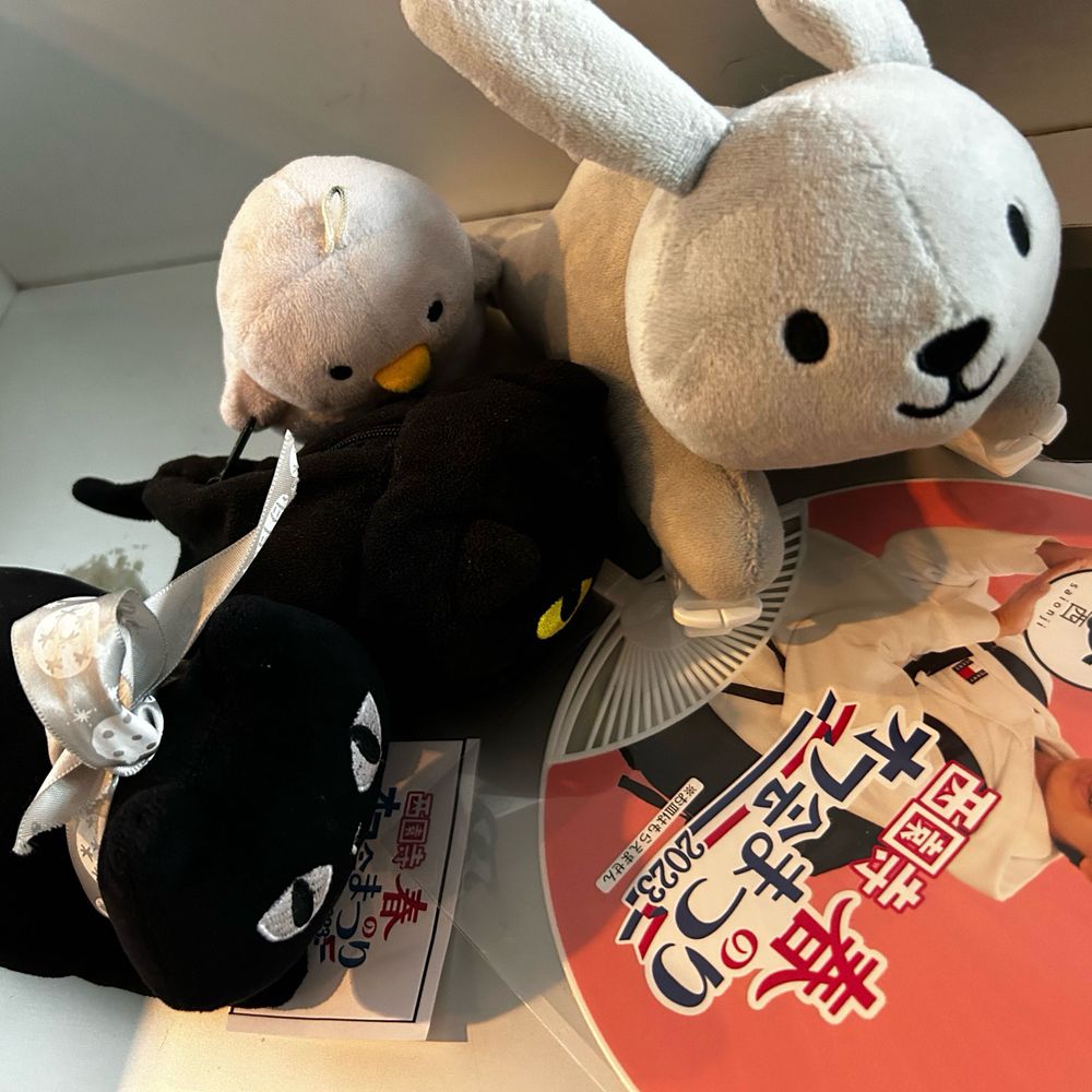 もちぴょん