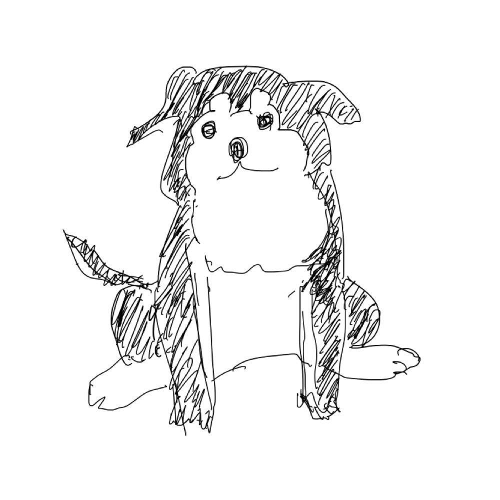 みかん