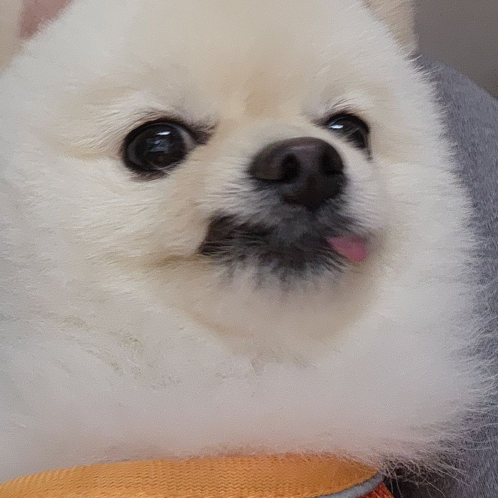 안경산양군