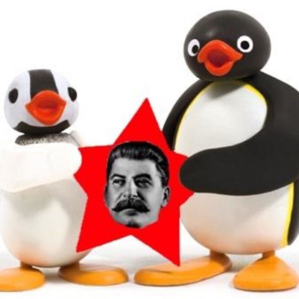 Pingu