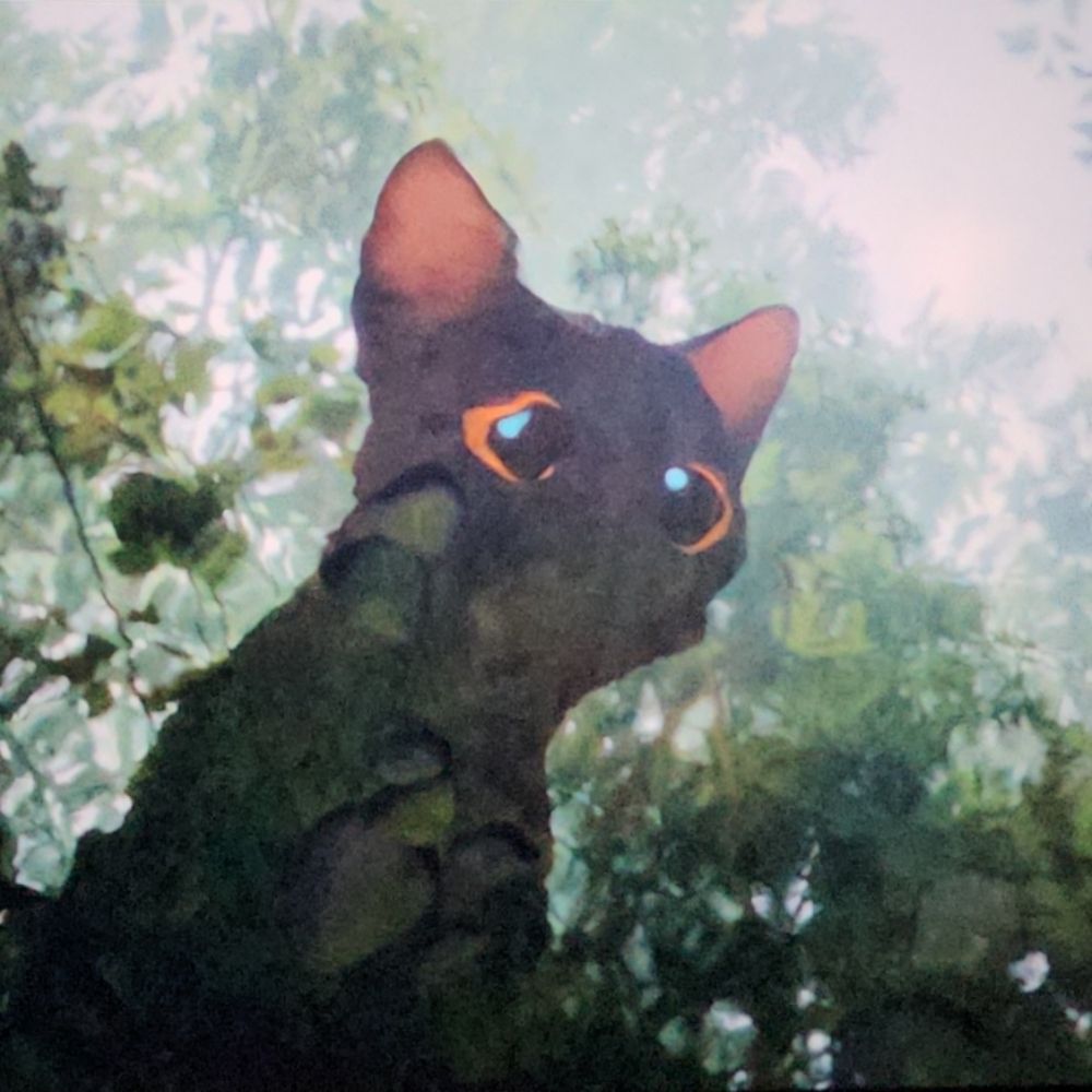 KawaiiSariux