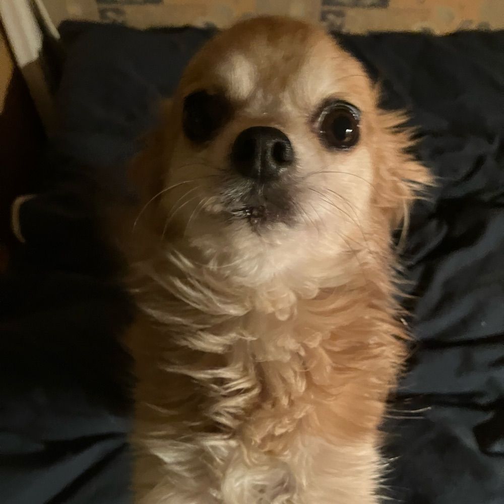 Quinn