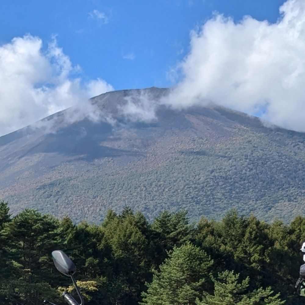 まつばやし。