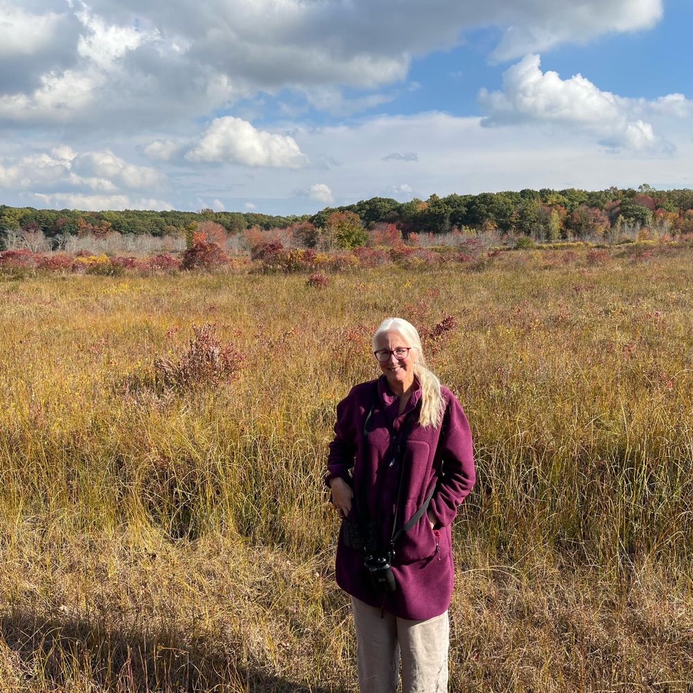 Linda Ross Meyer