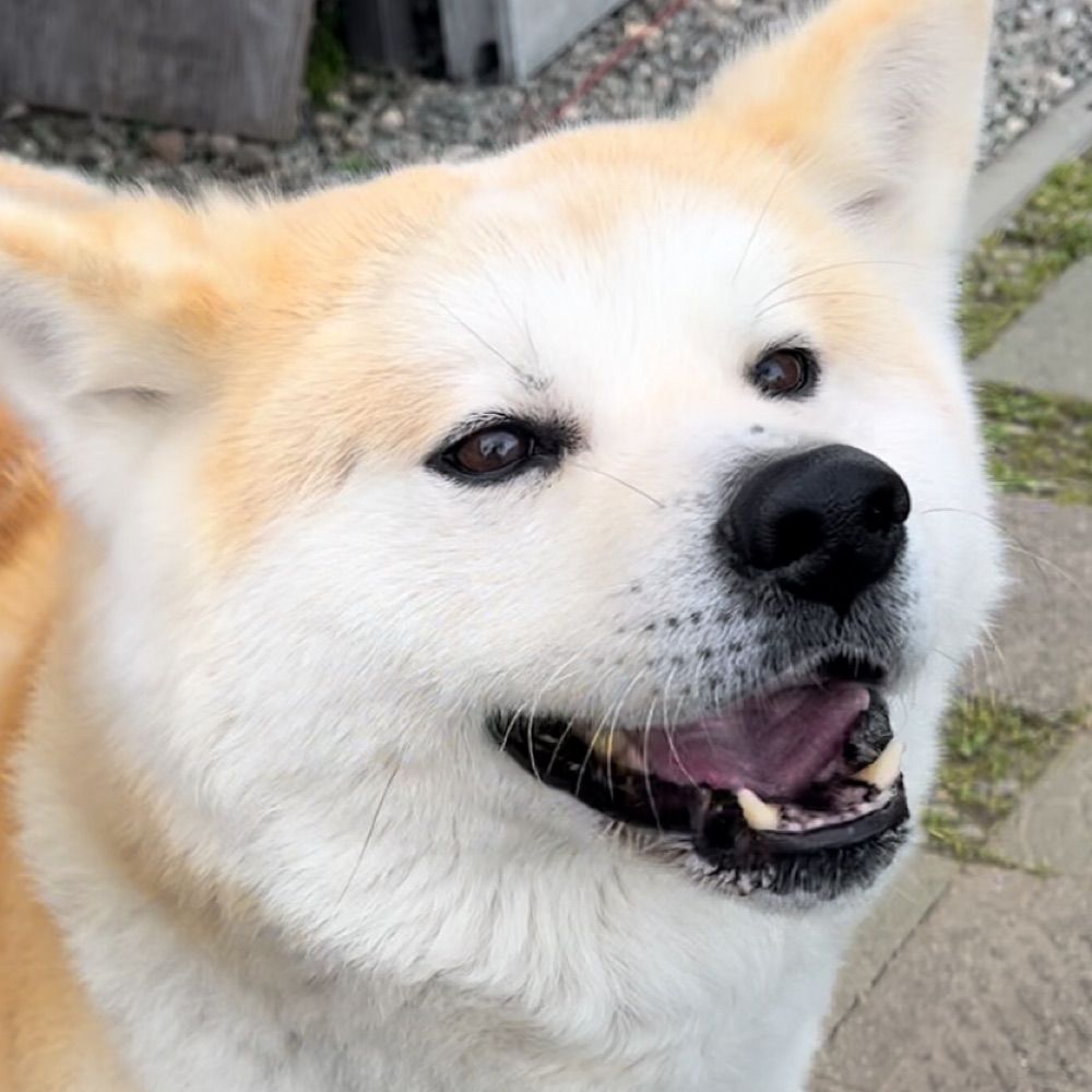 路傍！ぞぬぞぬ