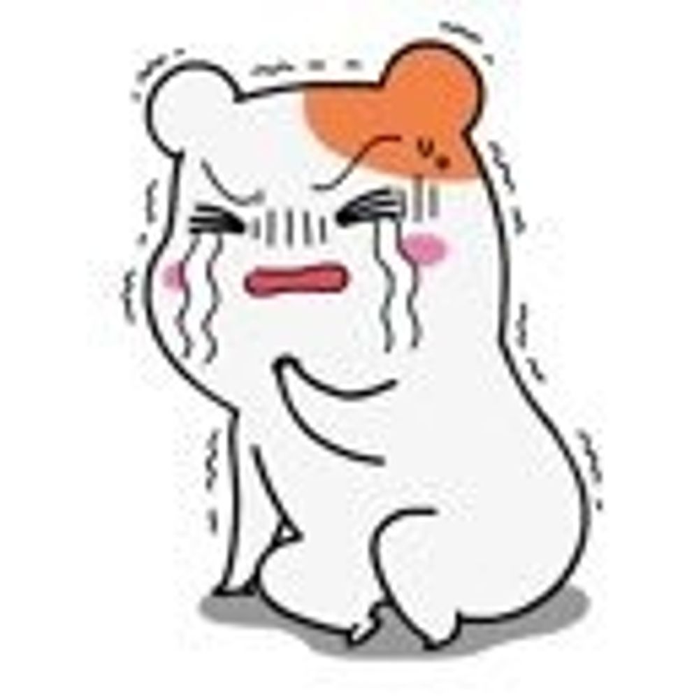 のこ