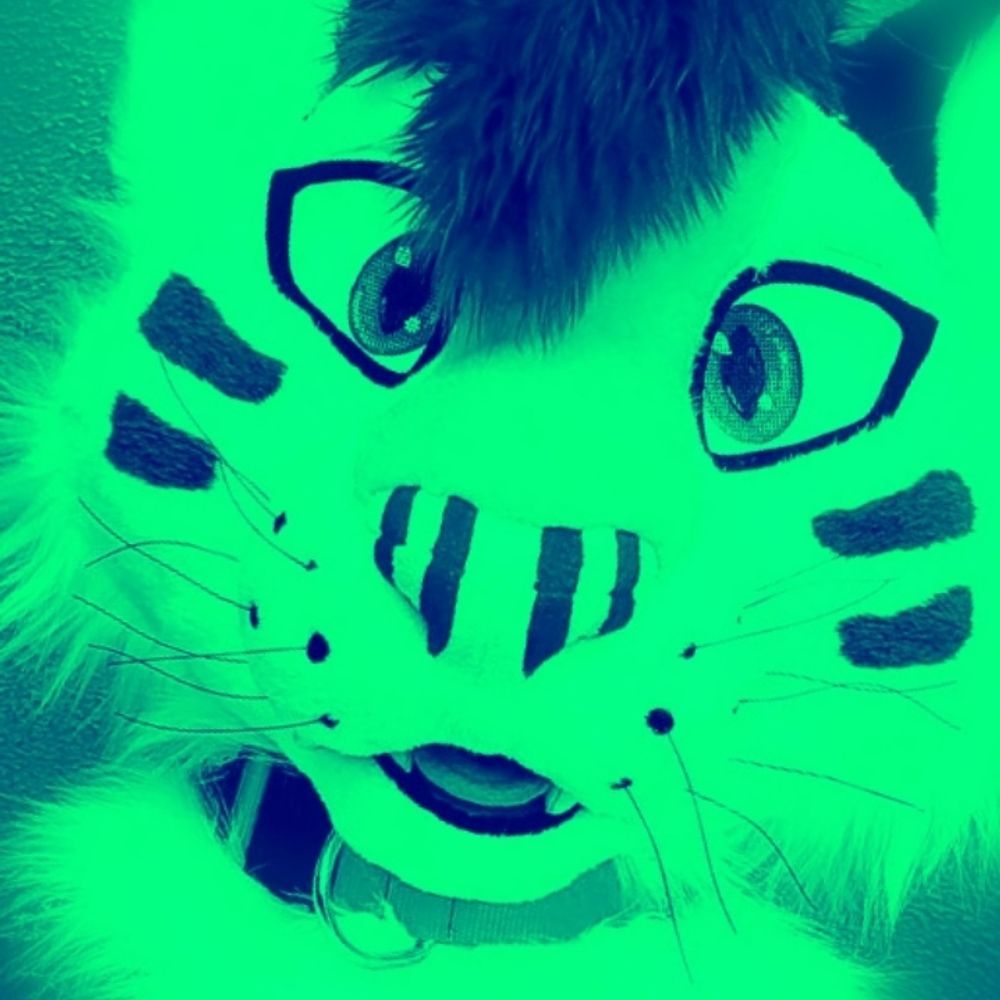 Jingles 🐯
