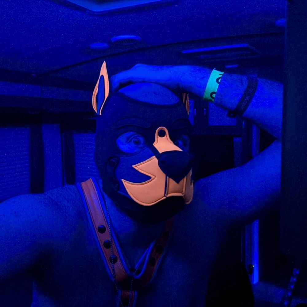Pup_Onrius