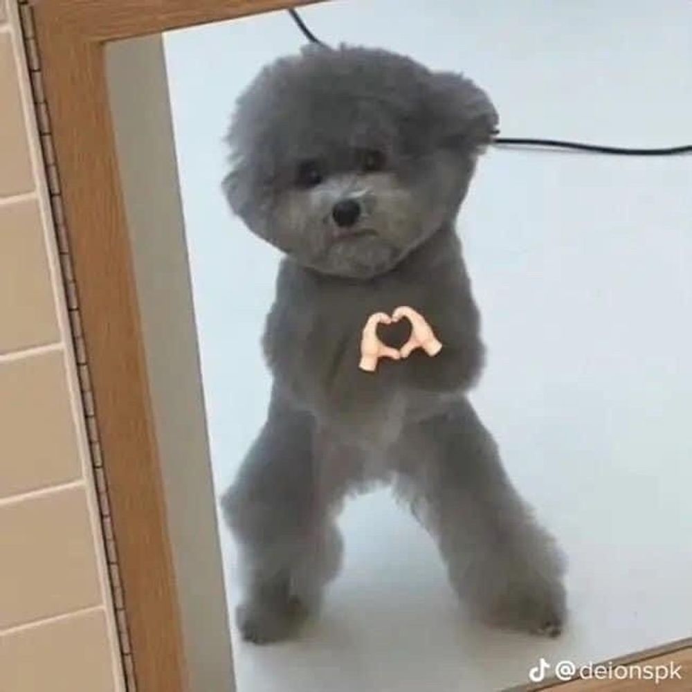 아저씨 전문 마트