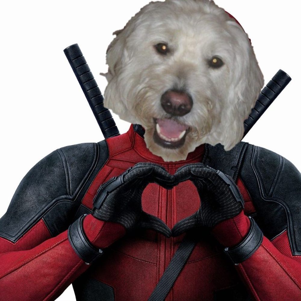 MarmosDad (Matt)