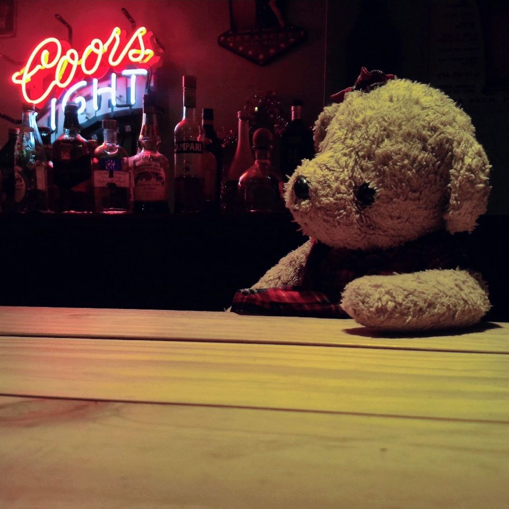 熊朵拉 Dora Bear