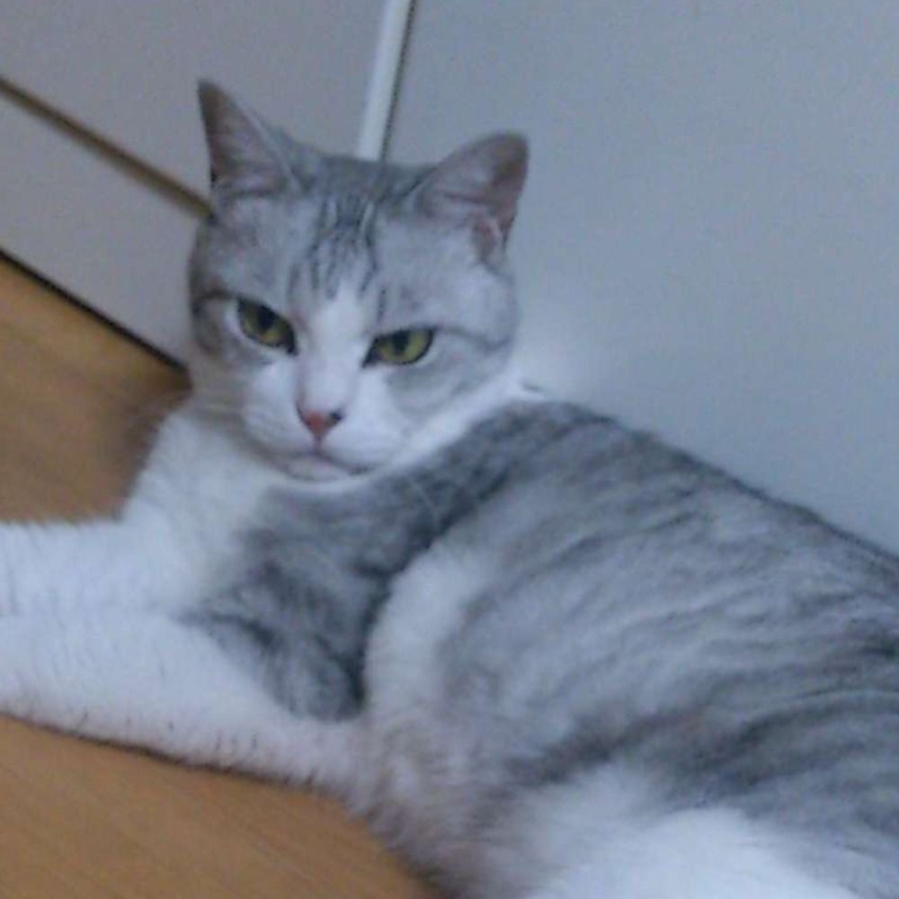 わび