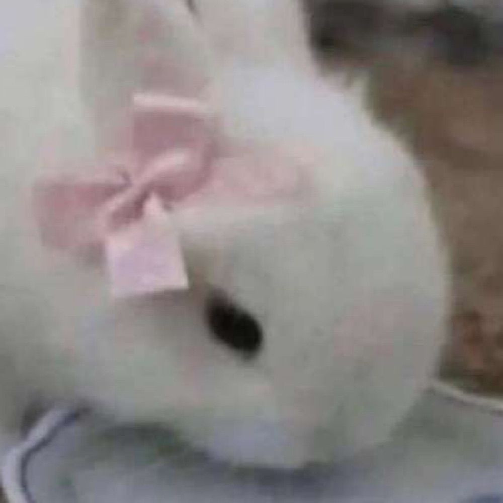ori
