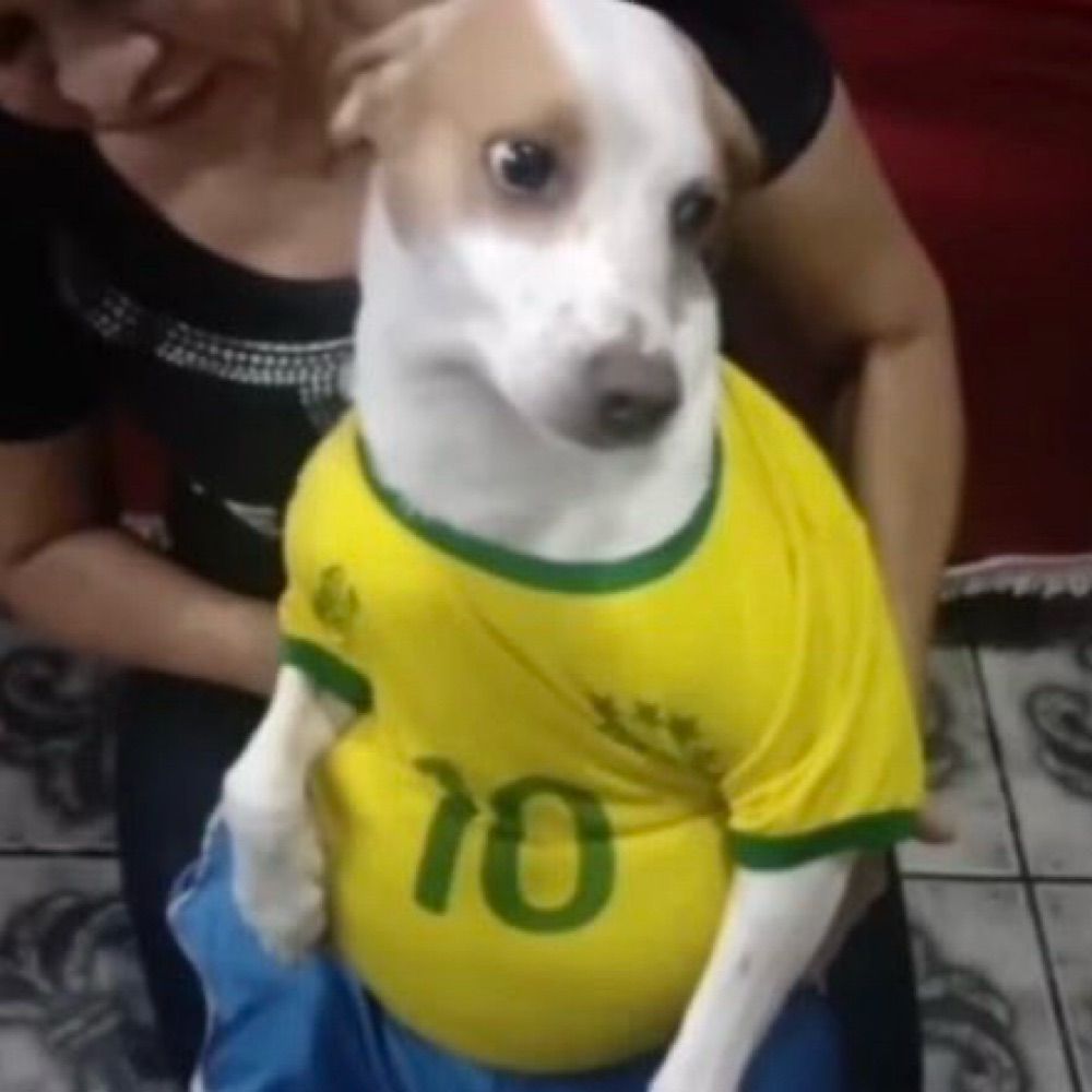 GREIRA