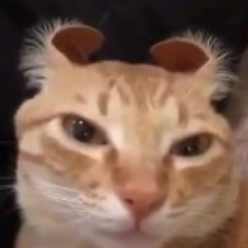 Amiracle