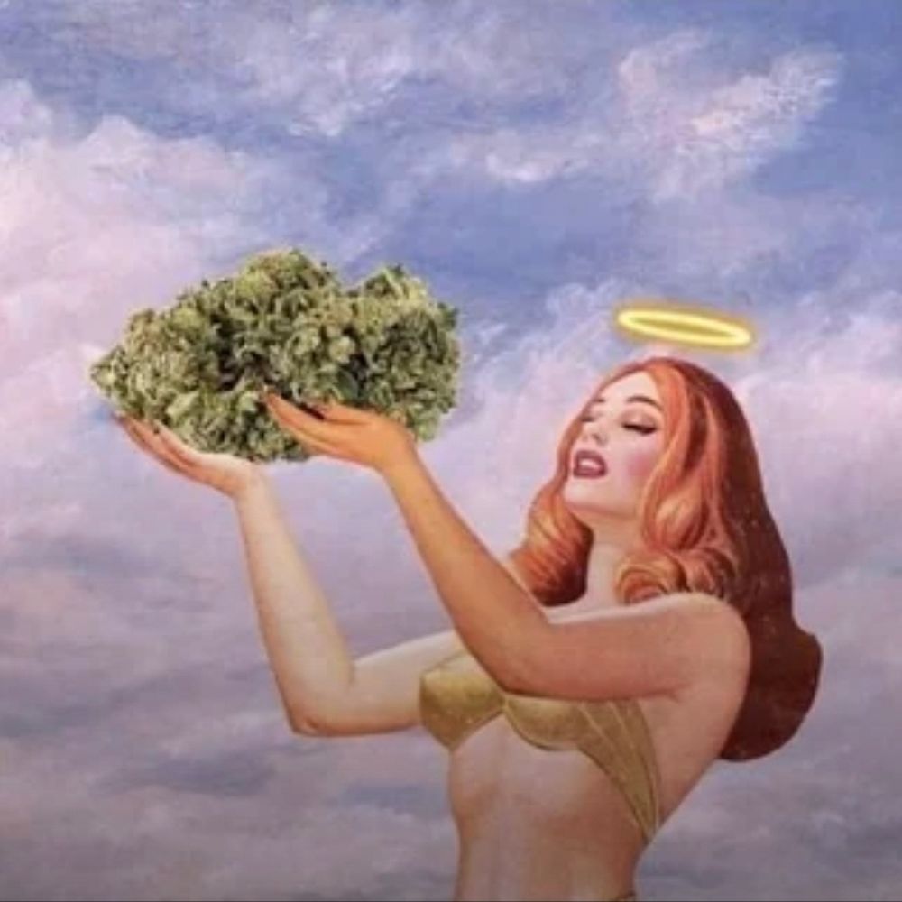 Boo's Bossy Papers (Magrathea Office)