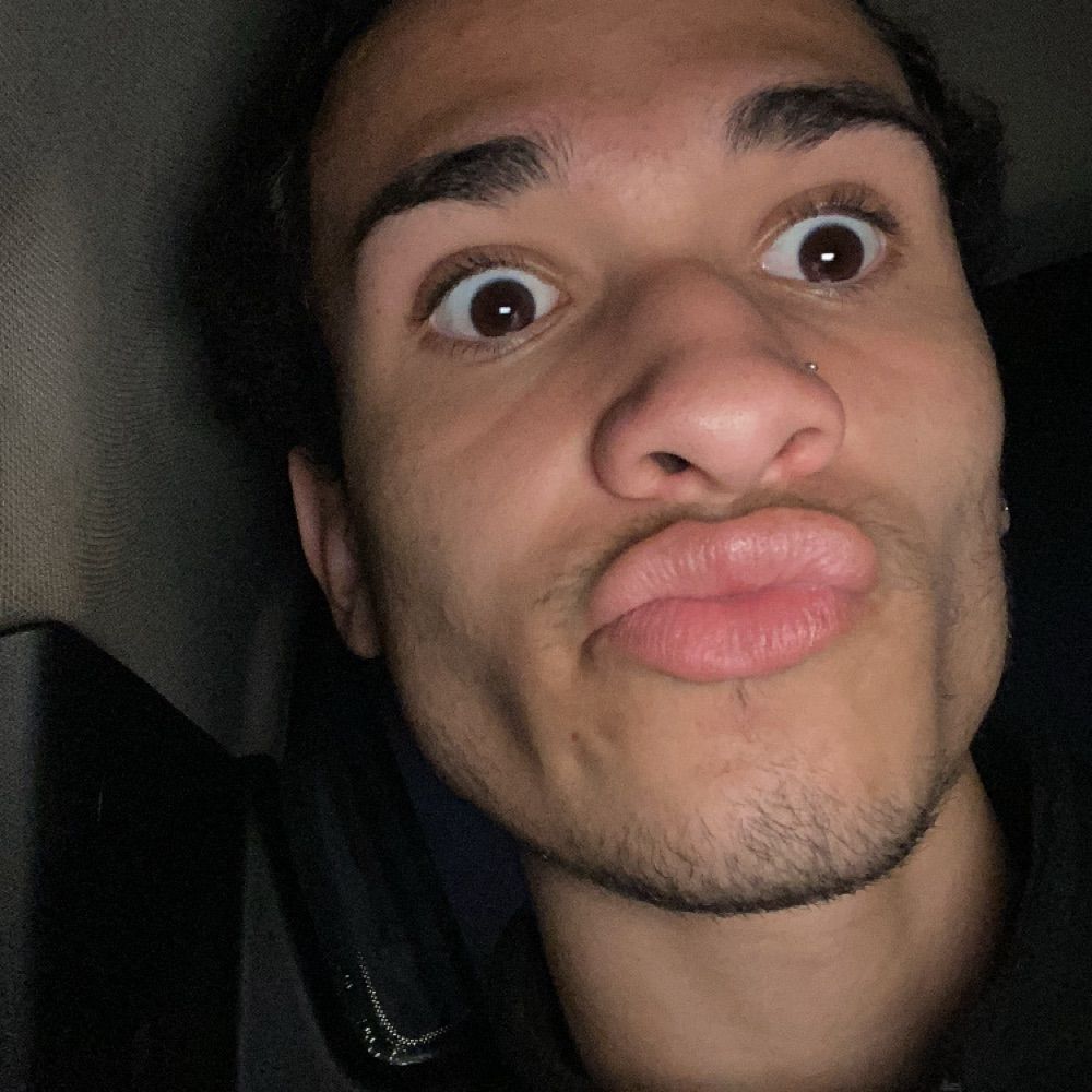 Gustavo🐝