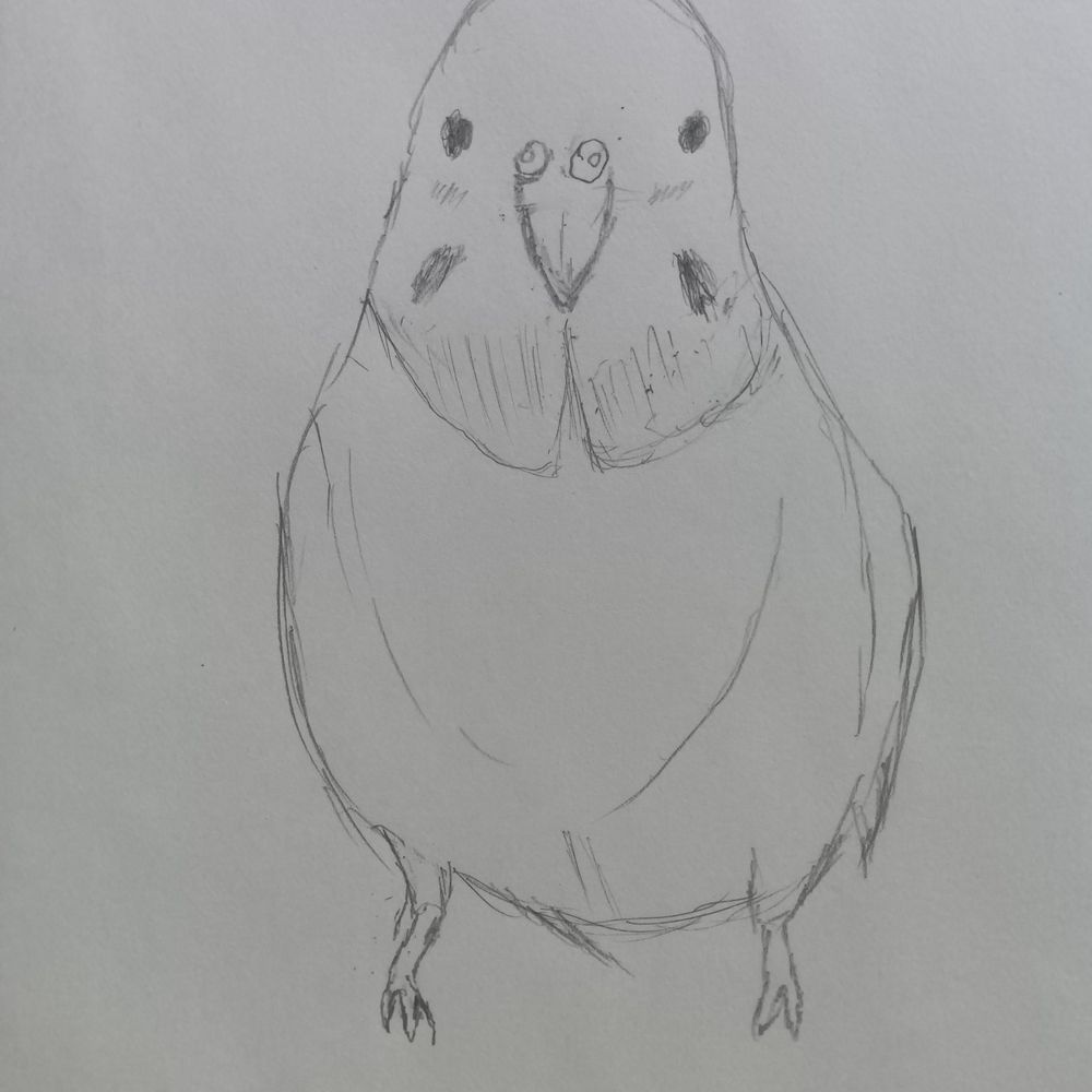 鳥好き