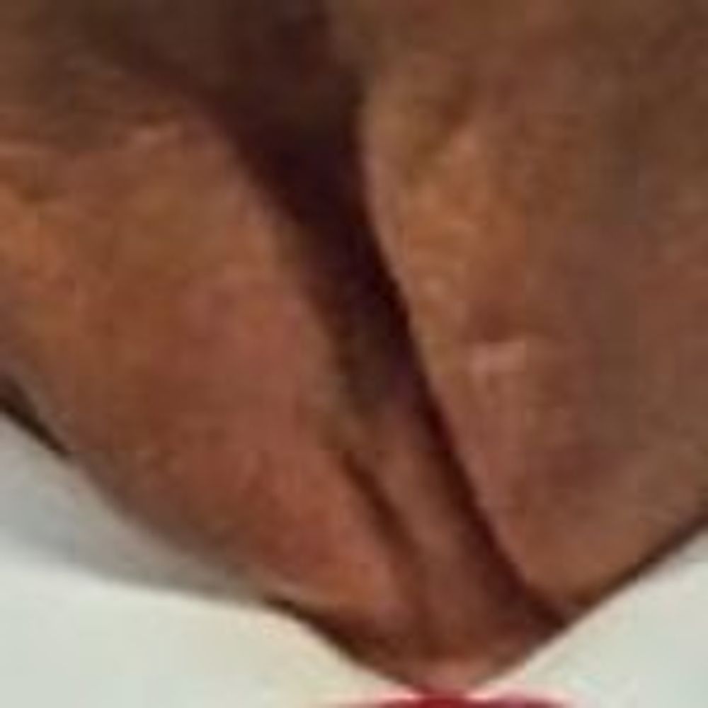 Don's P*ssy Neck