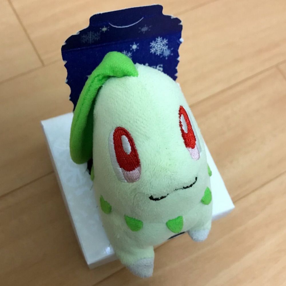 くたくたのチコリータ