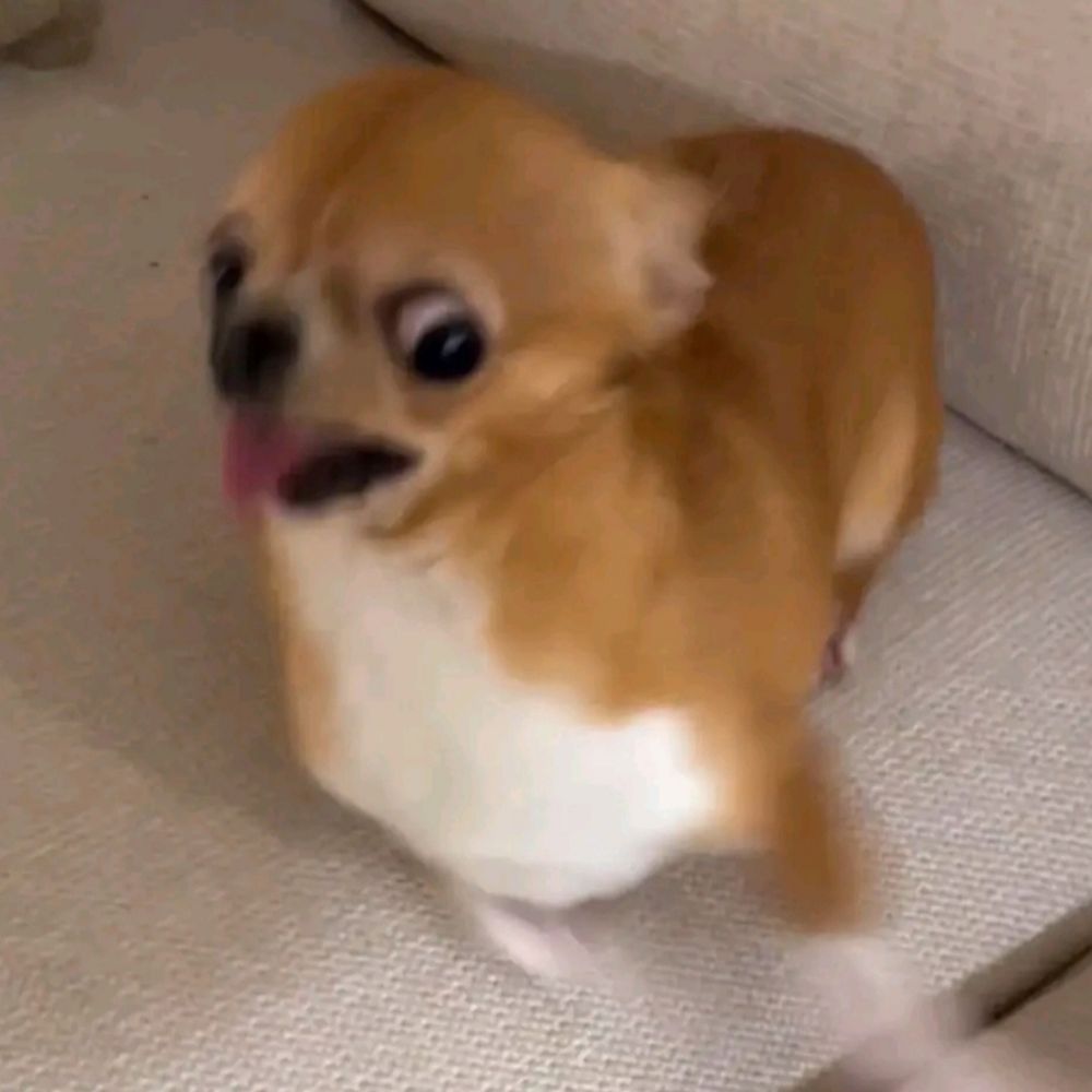 ⋇⋆✦⋆⋇○orii○⋇⋆✦⋆⋇　
