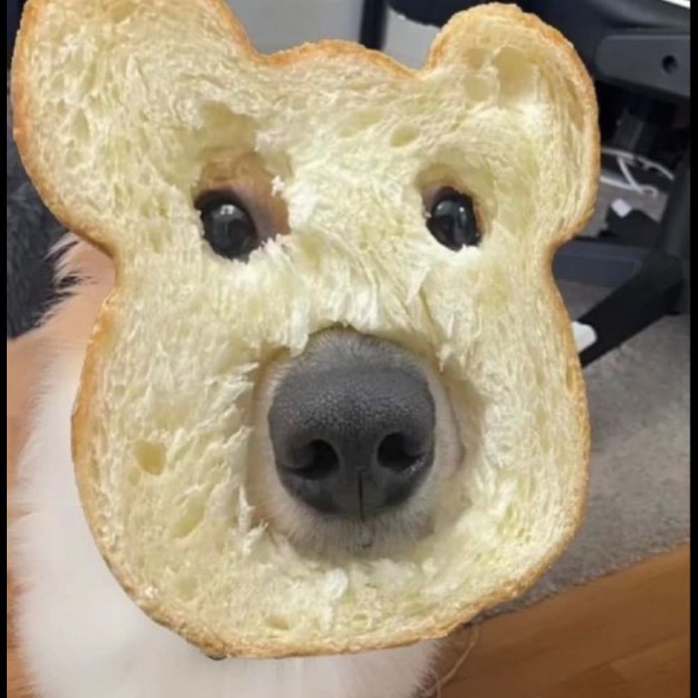 ragpf 