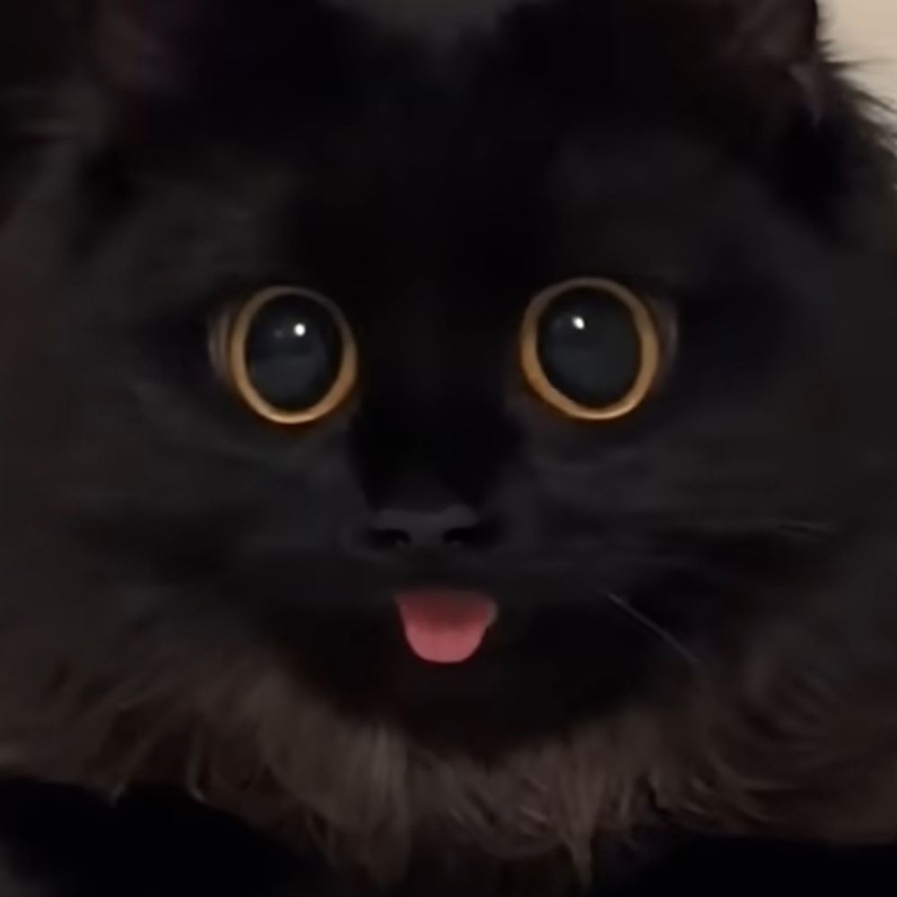 neonvoidkitty.bsky.social profile picture