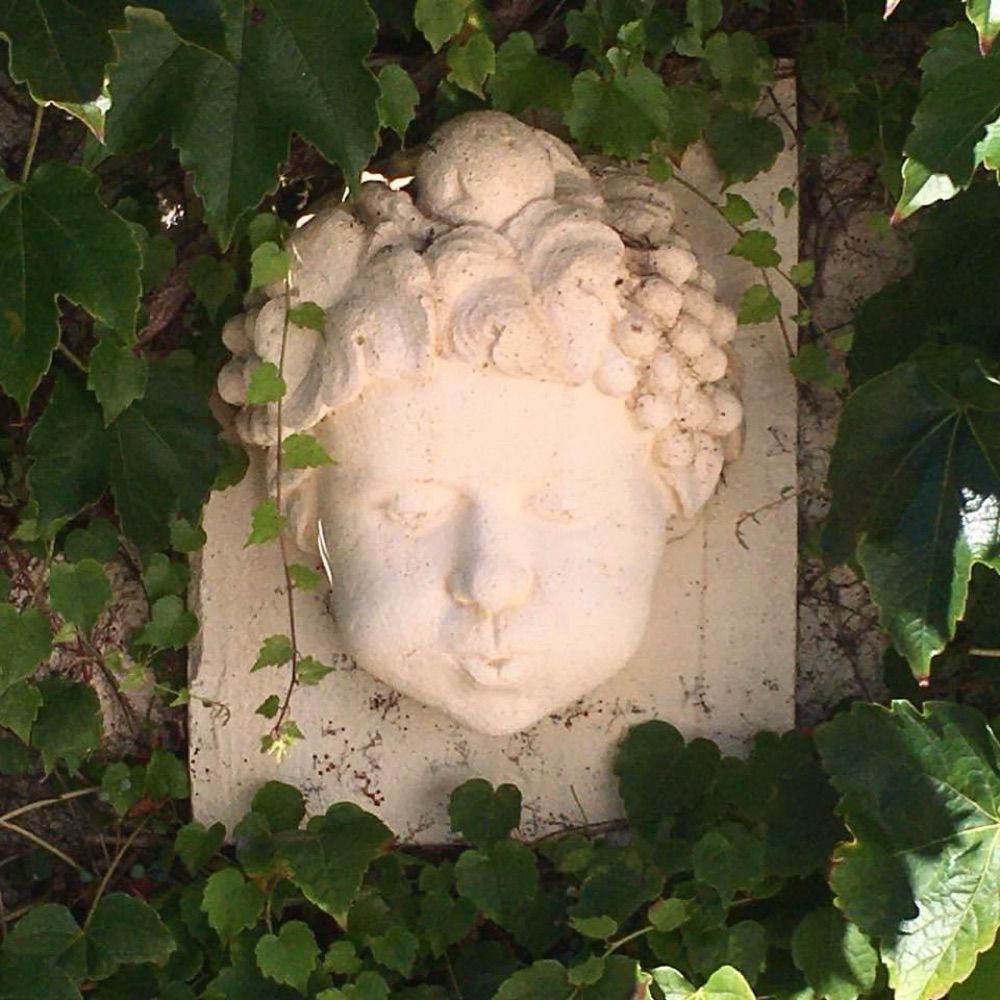 Guillaume Le Collen