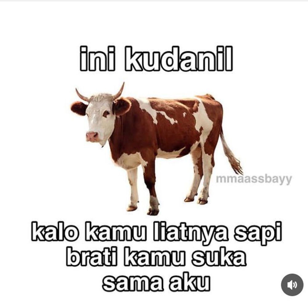 Tya maba psikologi Undip '24