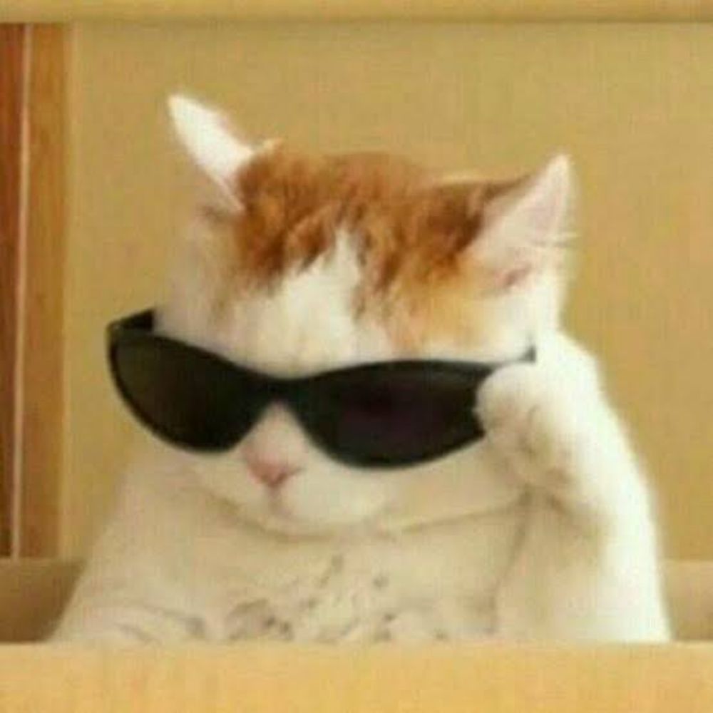 Gata de Schrödinger 🐱
