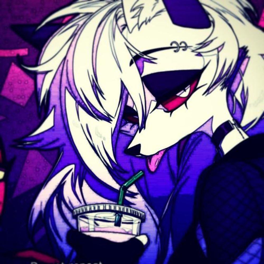 Chaser Ledroshy