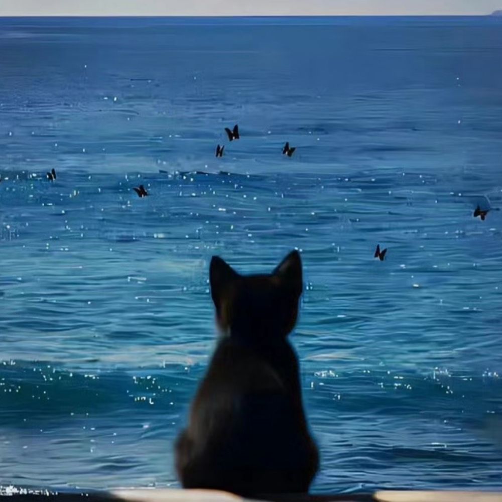 浩耗