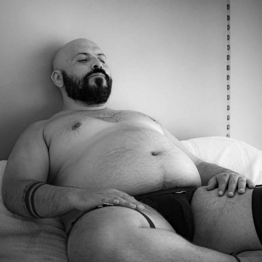 Bear Palermo