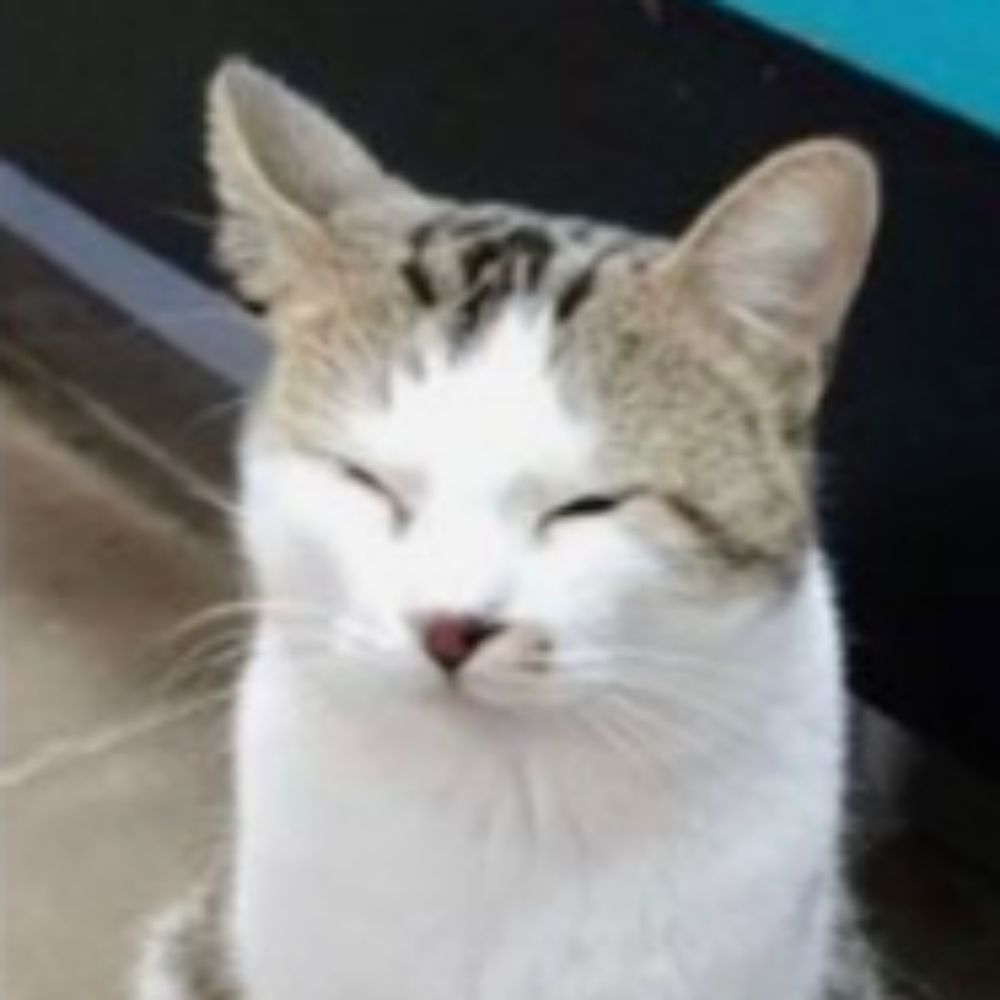 possumstuff