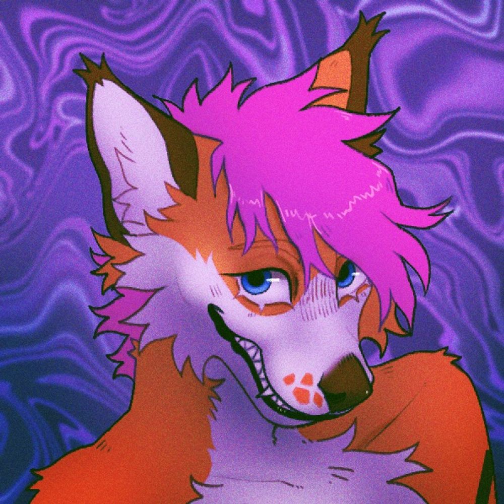 XILO 🦊🏳️‍⚧️