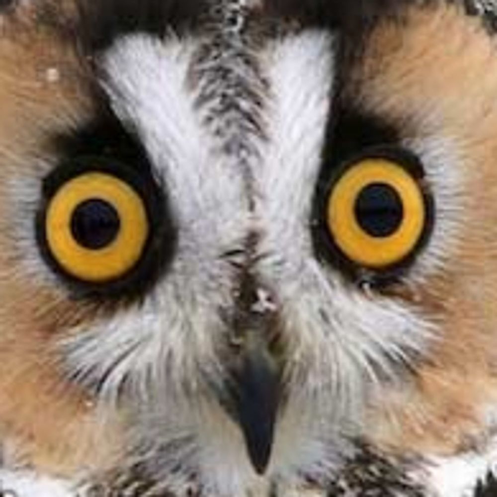 oul
