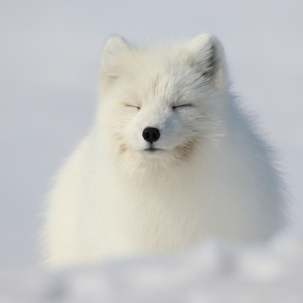 aqueenmother.bsky.social profile picture