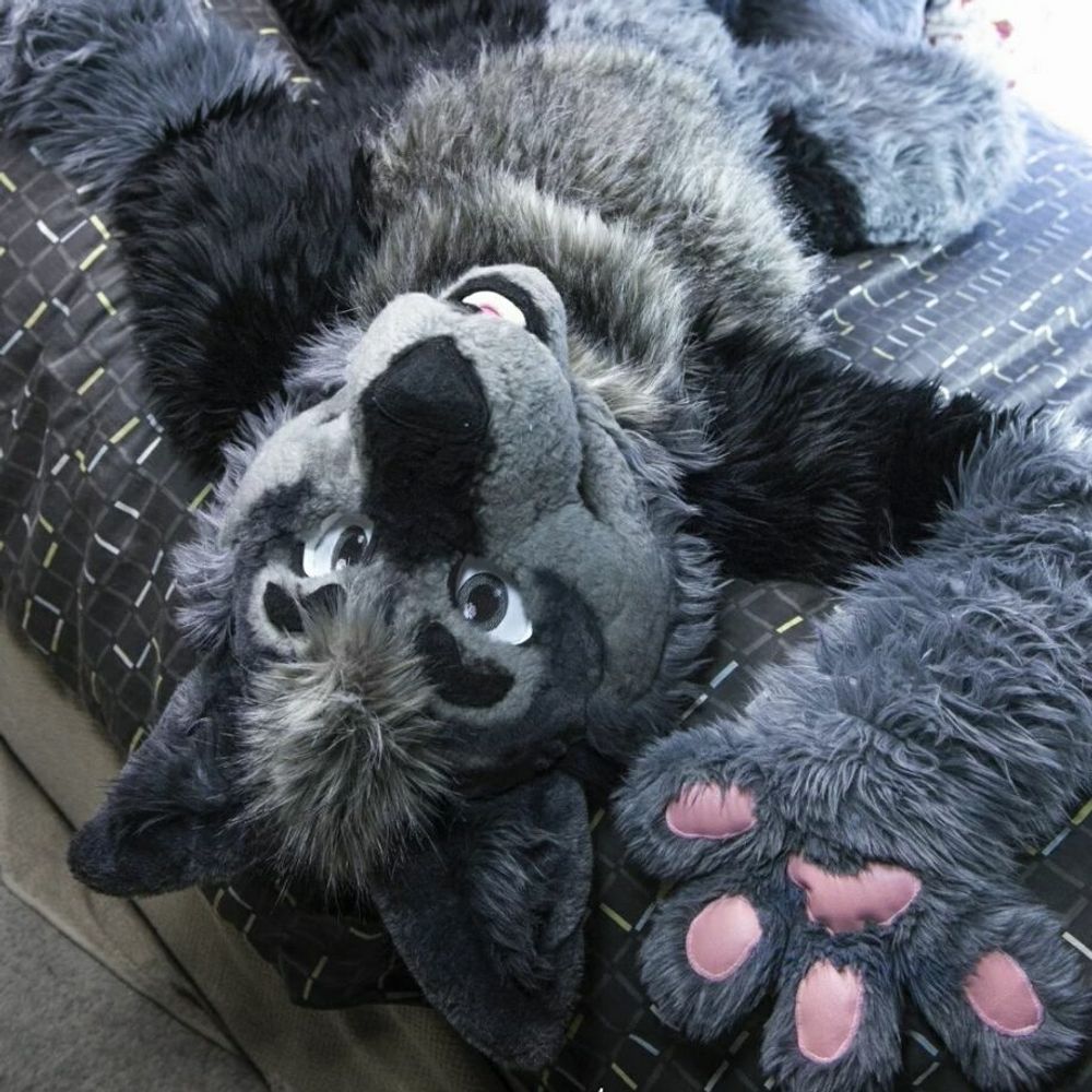Sangha/Zander-Chan 🔜 TFF 2025 (B-day Con!)