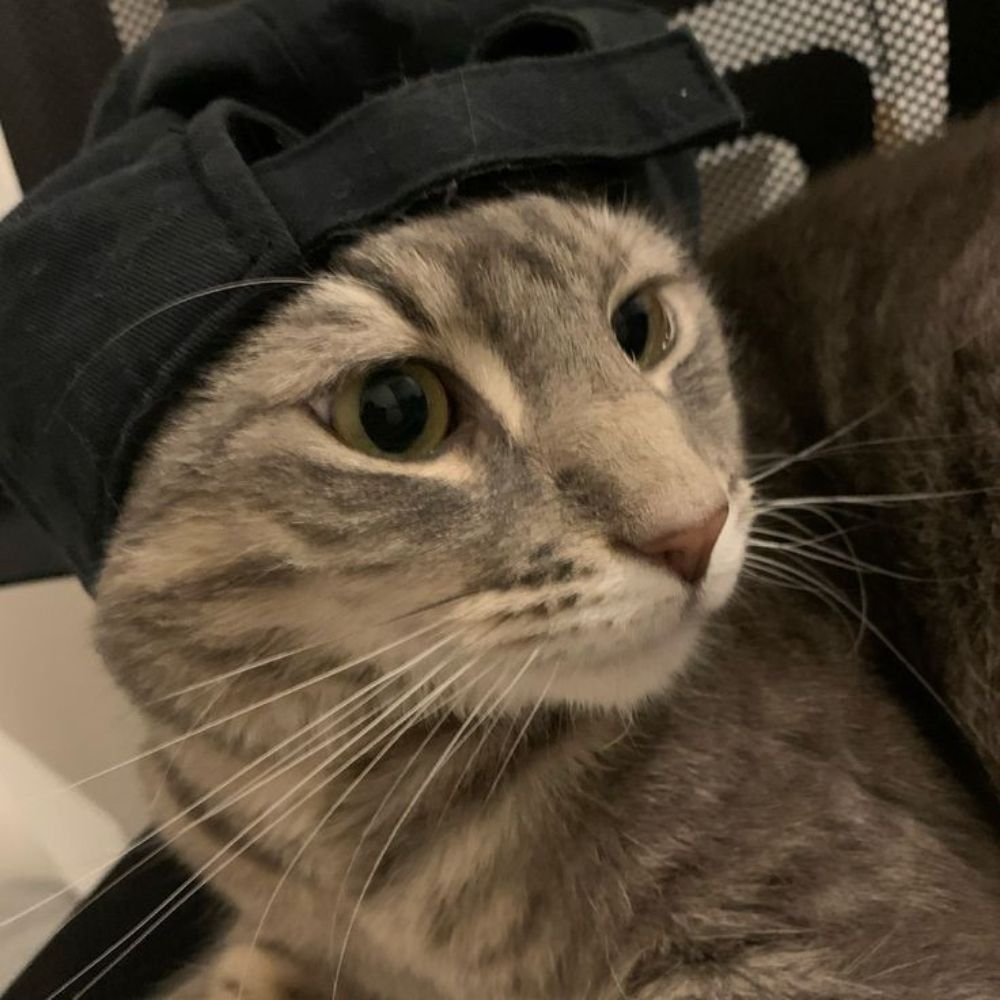 lala