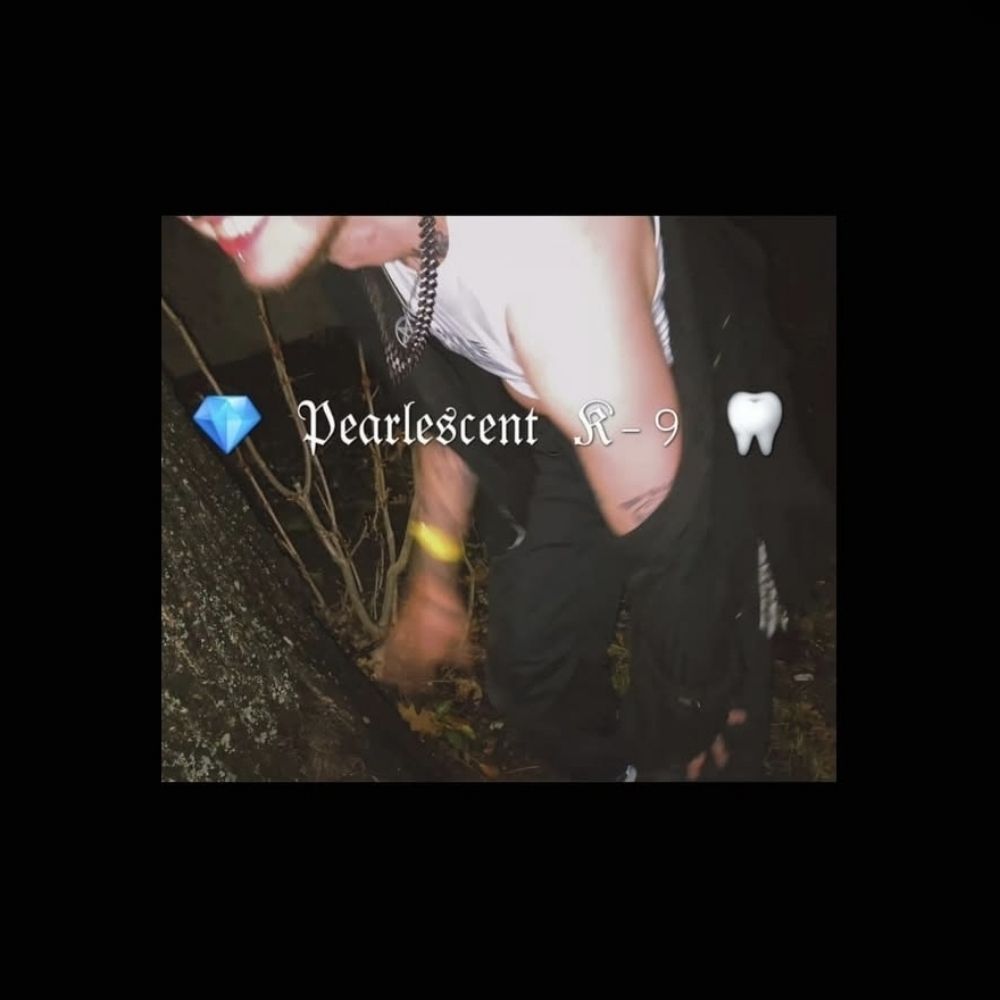 💎 𝔓𝔢𝔞𝔯𝔩𝔢𝔰𝔠𝔢𝔫𝔱 𝔎-9🦷