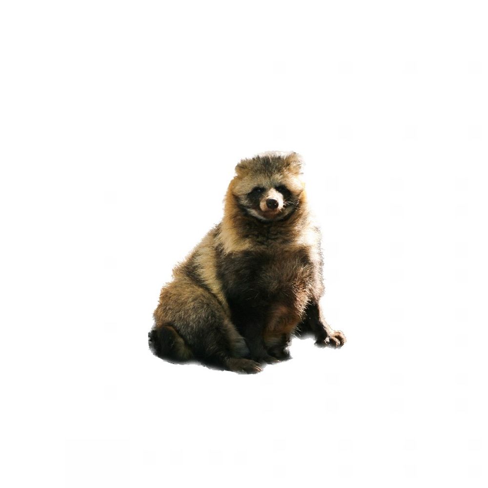 タロー