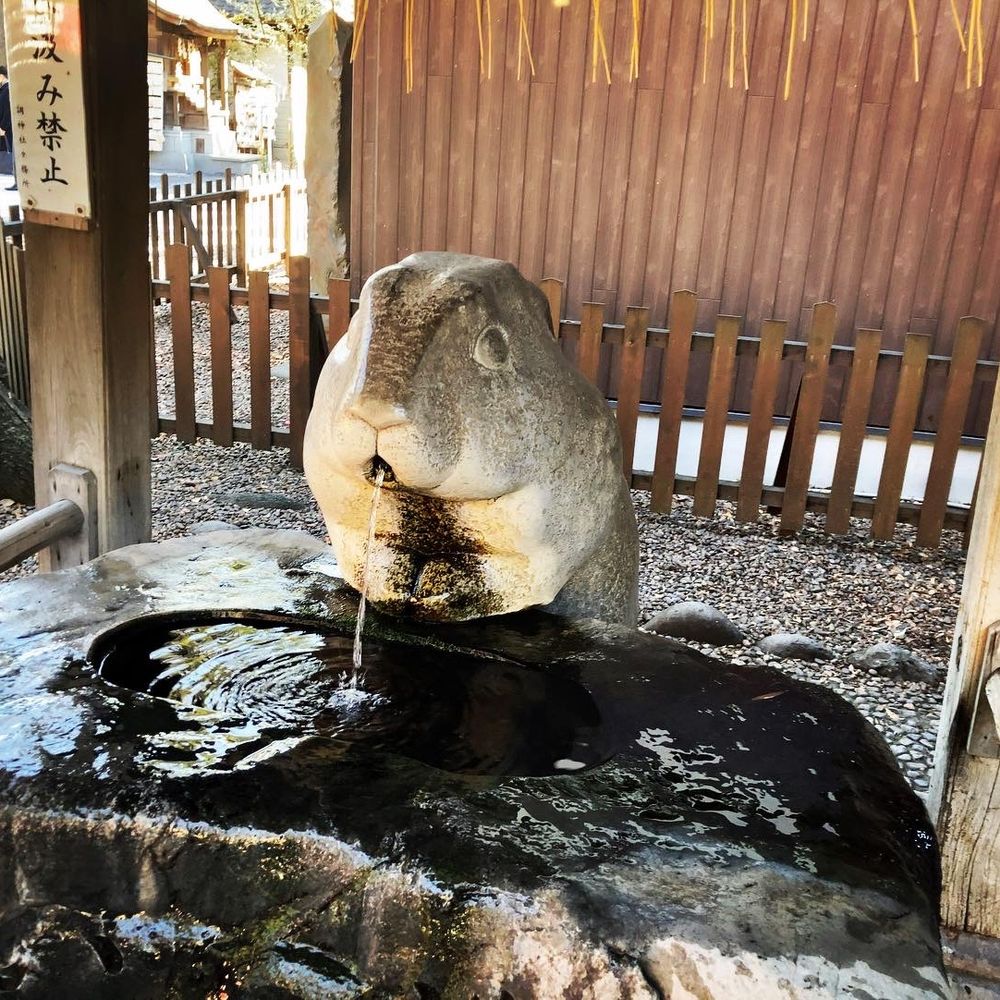 たいさ