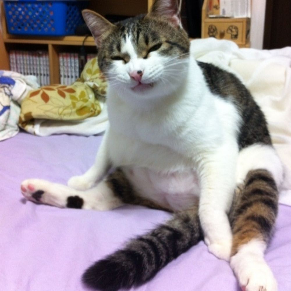 グングン