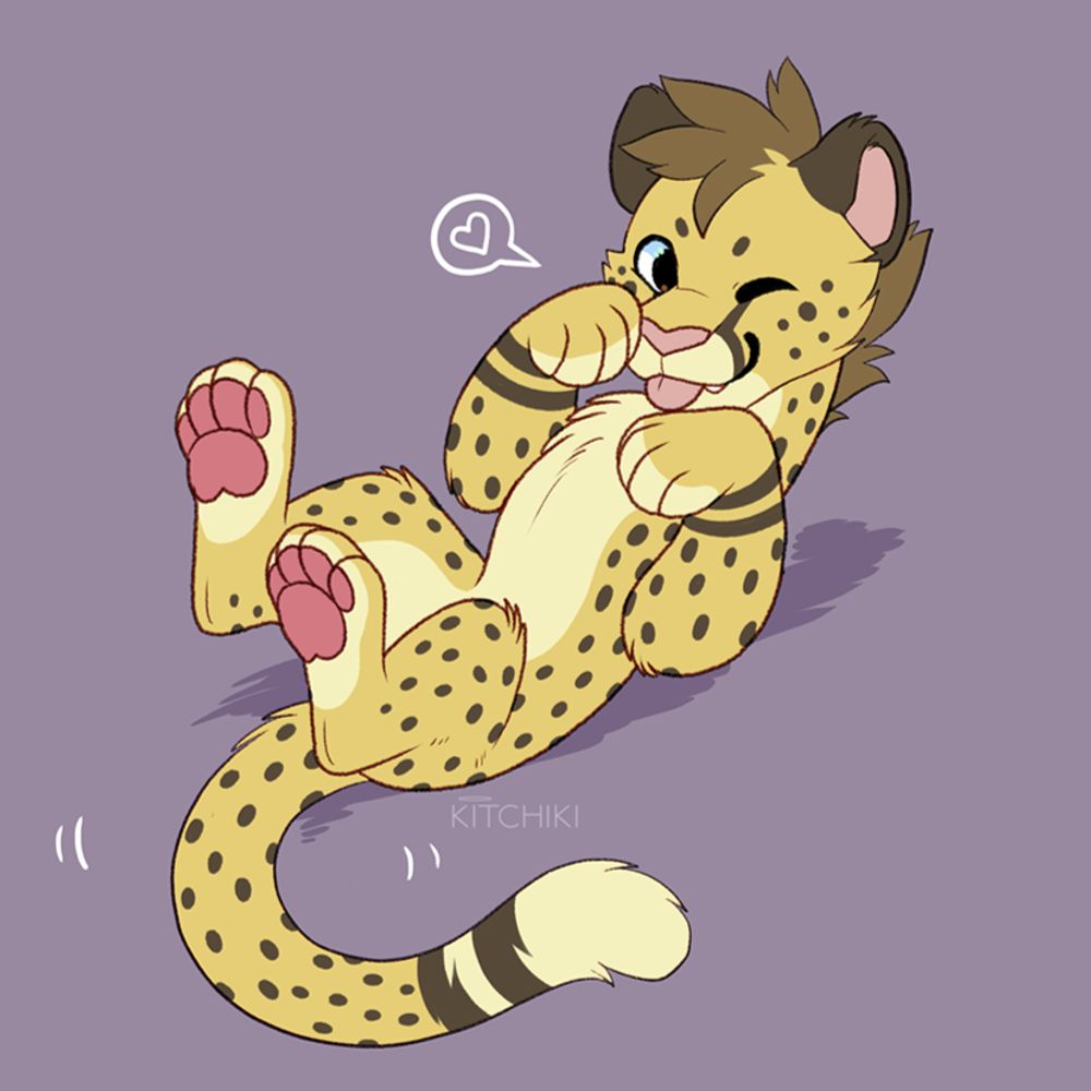Chirpy Cheetah
