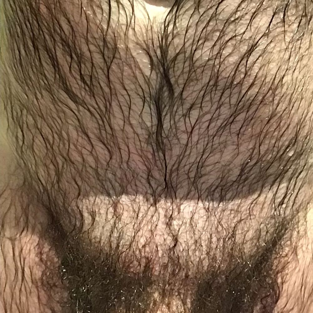 Finehairbear
