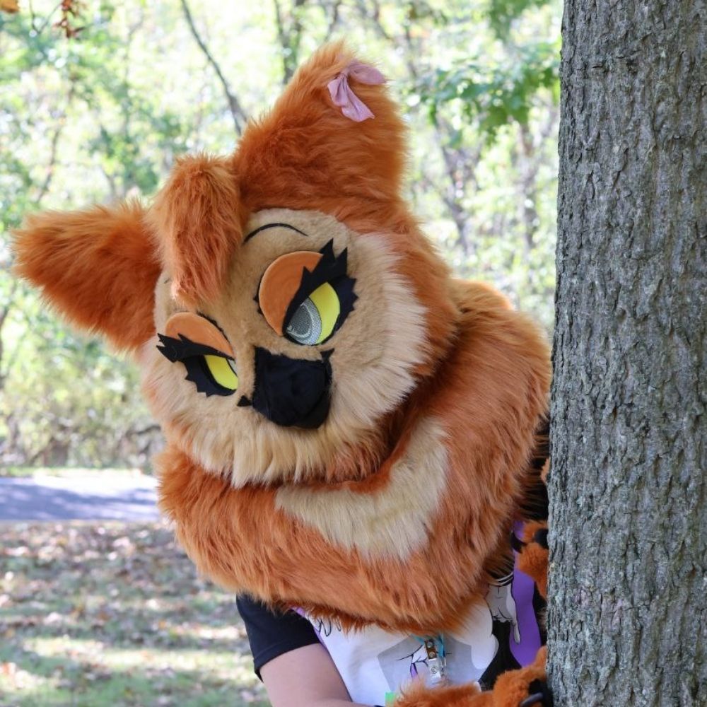 Nyx The Owl